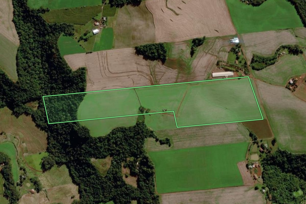 Imagem de satélite do imóvel rural em Maravilha (SC), com o contorno declarado no CAR desenhado por cima.