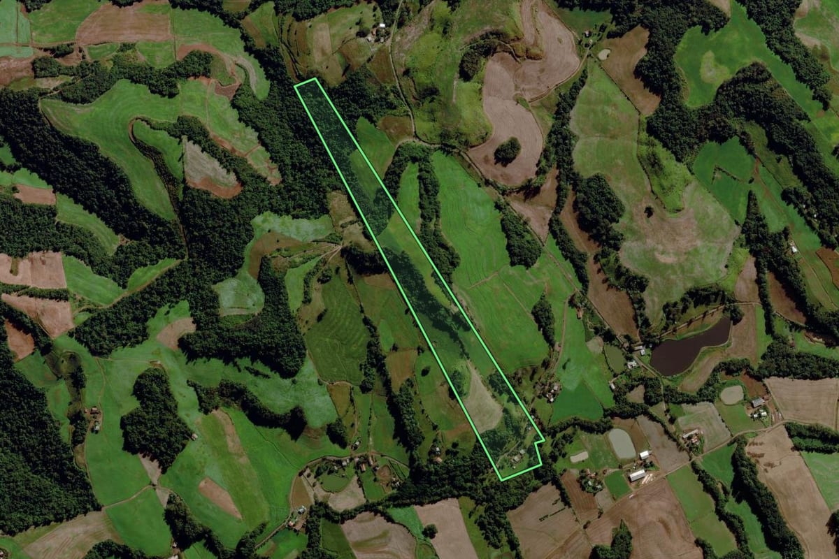 Imagem de satélite do imóvel rural em Maravilha (SC), com o contorno declarado no CAR desenhado por cima.