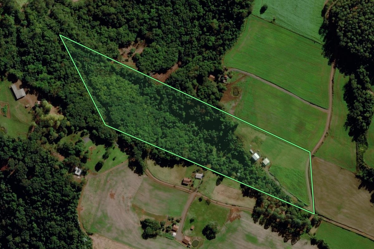 Imagem de satélite do imóvel rural em Maravilha (SC), com o contorno declarado no CAR desenhado por cima.