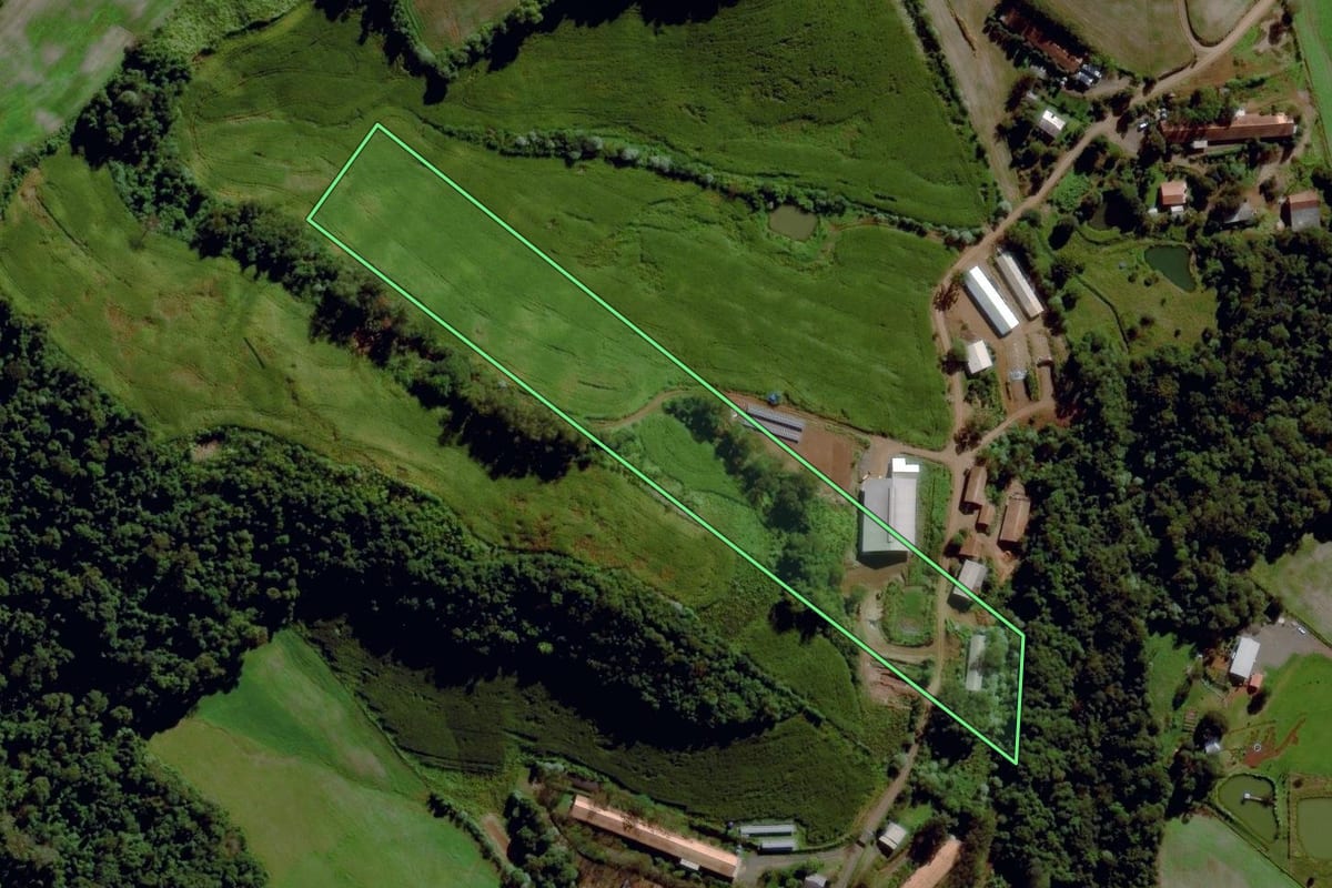 Imagem de satélite do imóvel rural em Maravilha (SC), com o contorno declarado no CAR desenhado por cima.