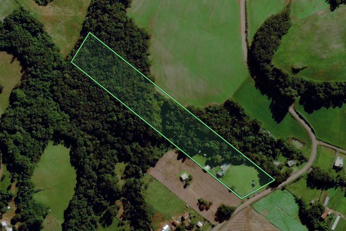 Imagem de satélite do imóvel rural em Maravilha (SC), com o contorno declarado no CAR desenhado por cima.