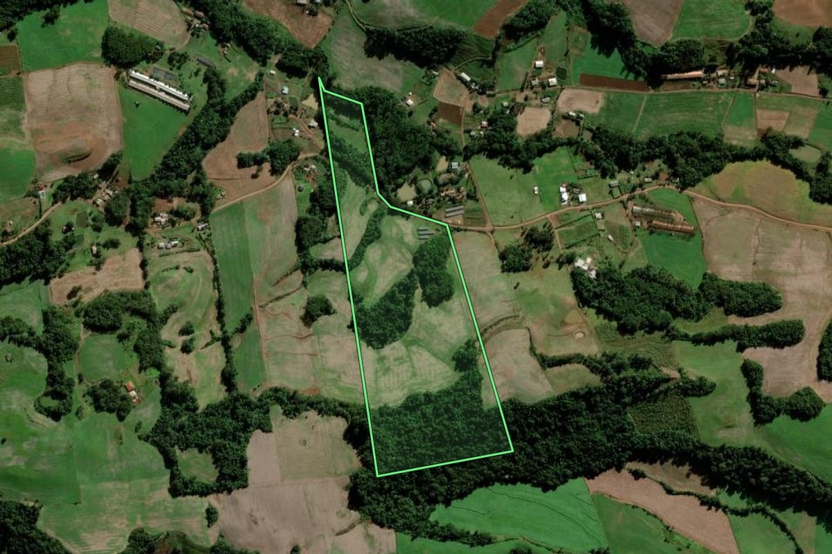 Imagem de satélite do imóvel rural em Maravilha (SC), com o contorno declarado no CAR desenhado por cima.