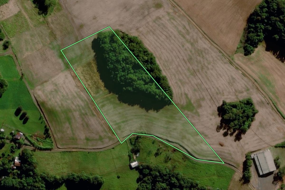 Imagem de satélite do imóvel rural em Maravilha (SC), com o contorno declarado no CAR desenhado por cima.