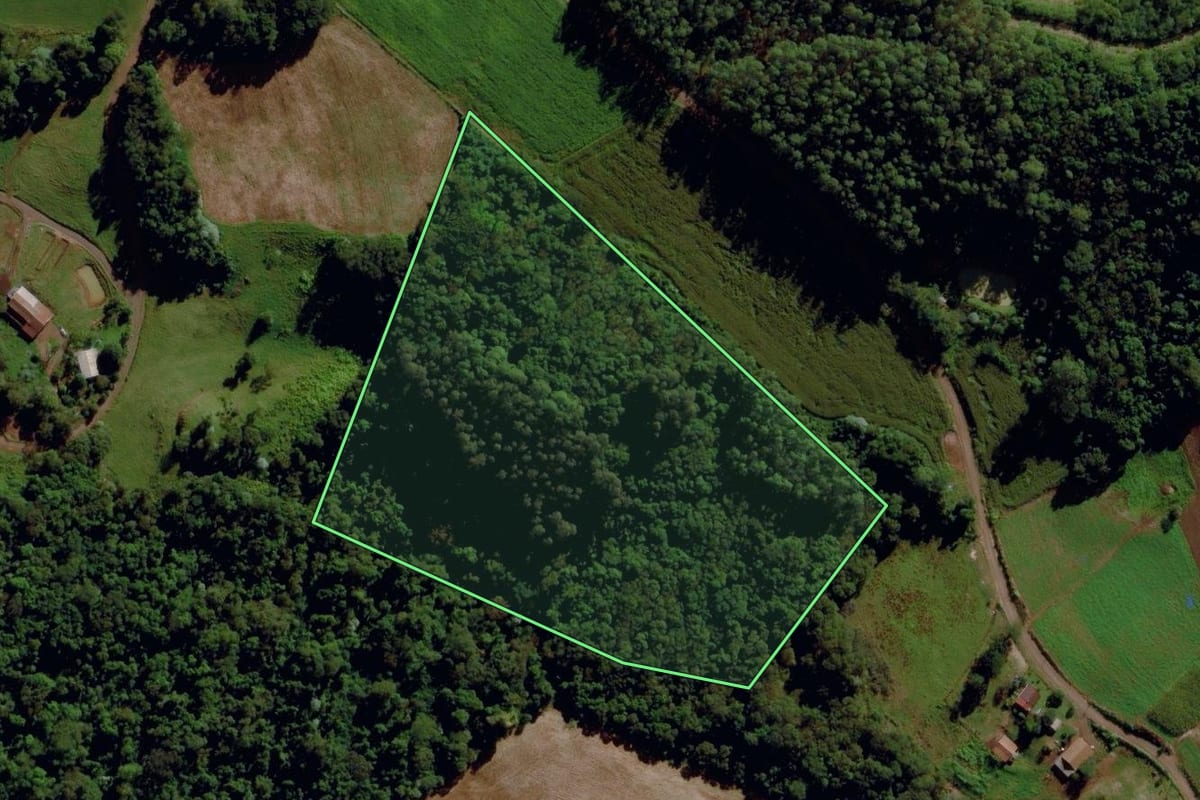 Imagem de satélite do imóvel rural em Maravilha (SC), com o contorno declarado no CAR desenhado por cima.