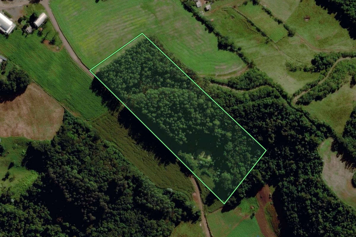 Imagem de satélite do imóvel rural em Maravilha (SC), com o contorno declarado no CAR desenhado por cima.