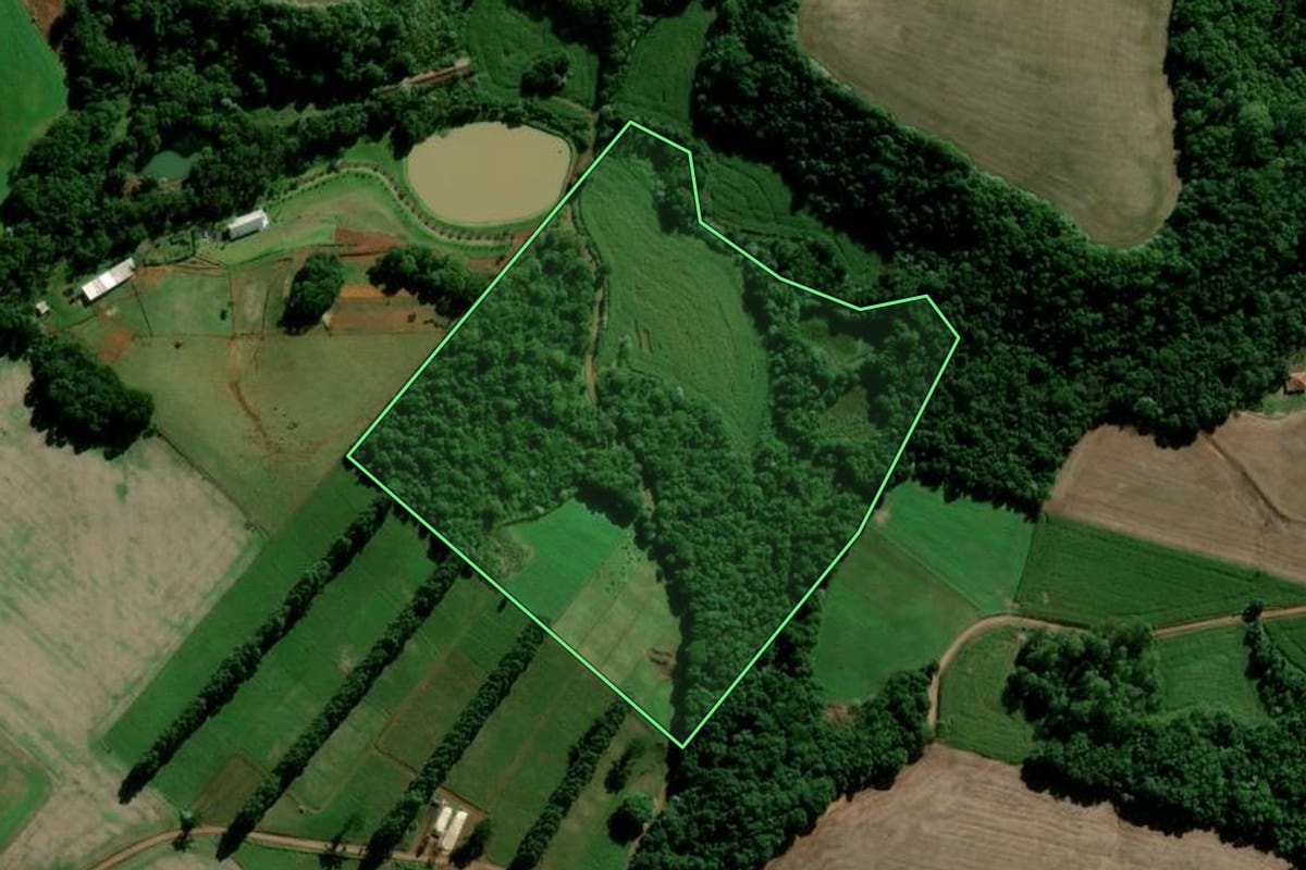Imagem de satélite do imóvel rural em Maravilha (SC), com o contorno declarado no CAR desenhado por cima.