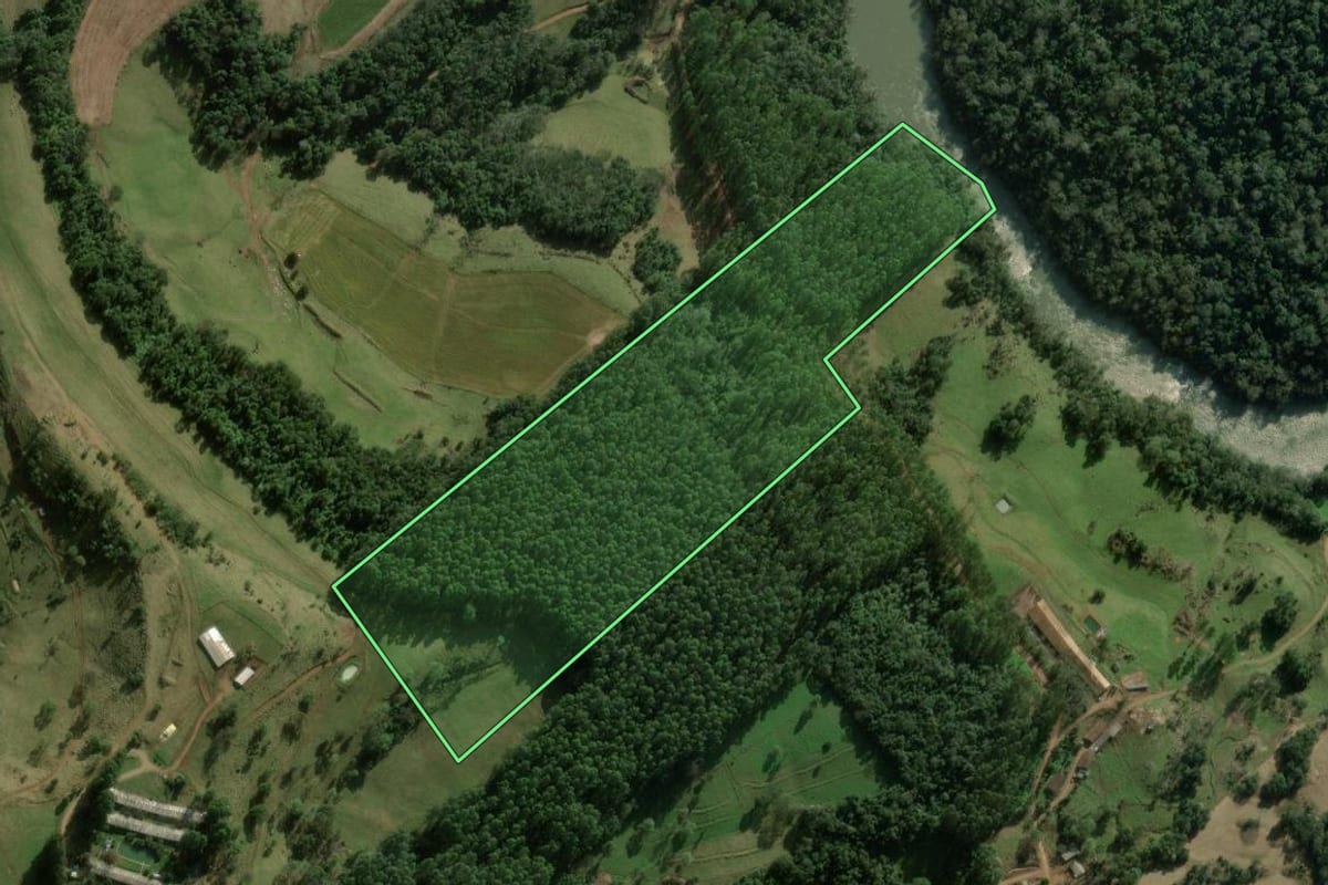 Imagem de satélite do imóvel rural em Marema (SC), com o contorno declarado no CAR desenhado por cima.