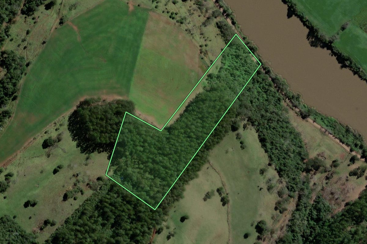Imagem de satélite do imóvel rural em Marema (SC), com o contorno declarado no CAR desenhado por cima.