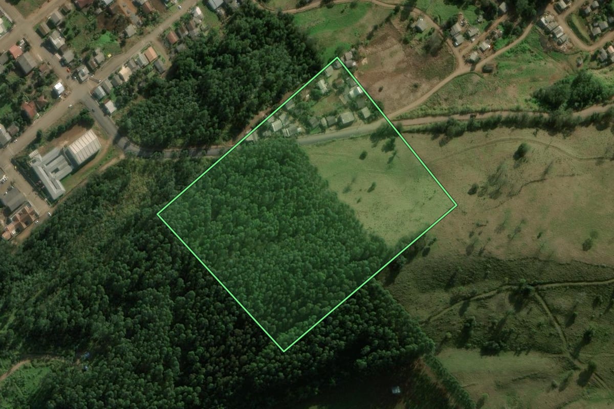 Imagem de satélite do imóvel rural em Marema (SC), com o contorno declarado no CAR desenhado por cima.