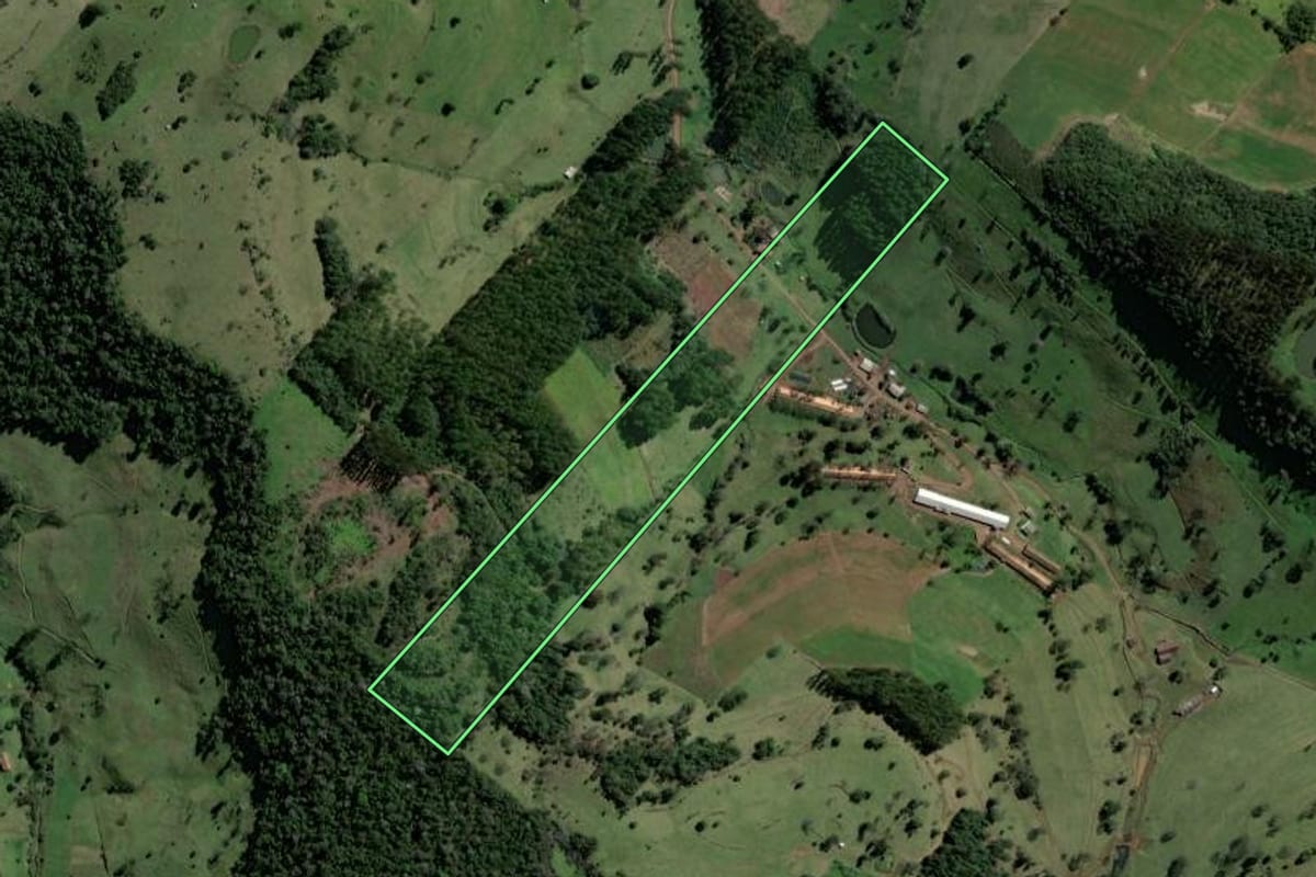 Imagem de satélite do imóvel rural em Marema (SC), com o contorno declarado no CAR desenhado por cima.