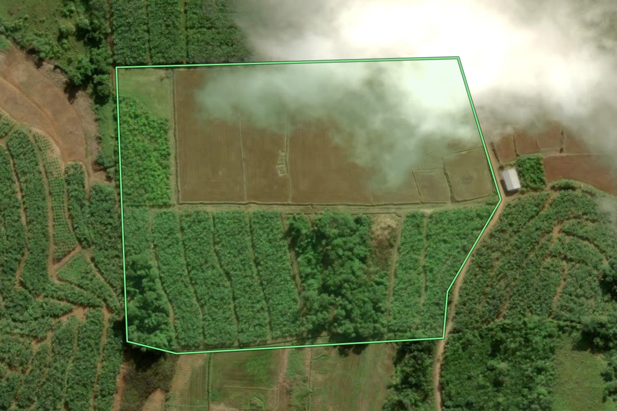 Imagem de satélite do imóvel rural em Massaranduba (SC), com o contorno declarado no CAR desenhado por cima.