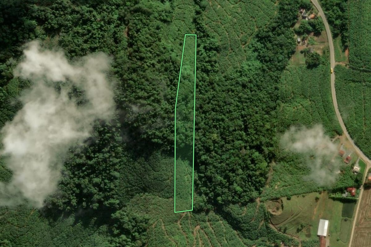 Imagem de satélite do imóvel rural em Massaranduba (SC), com o contorno declarado no CAR desenhado por cima.