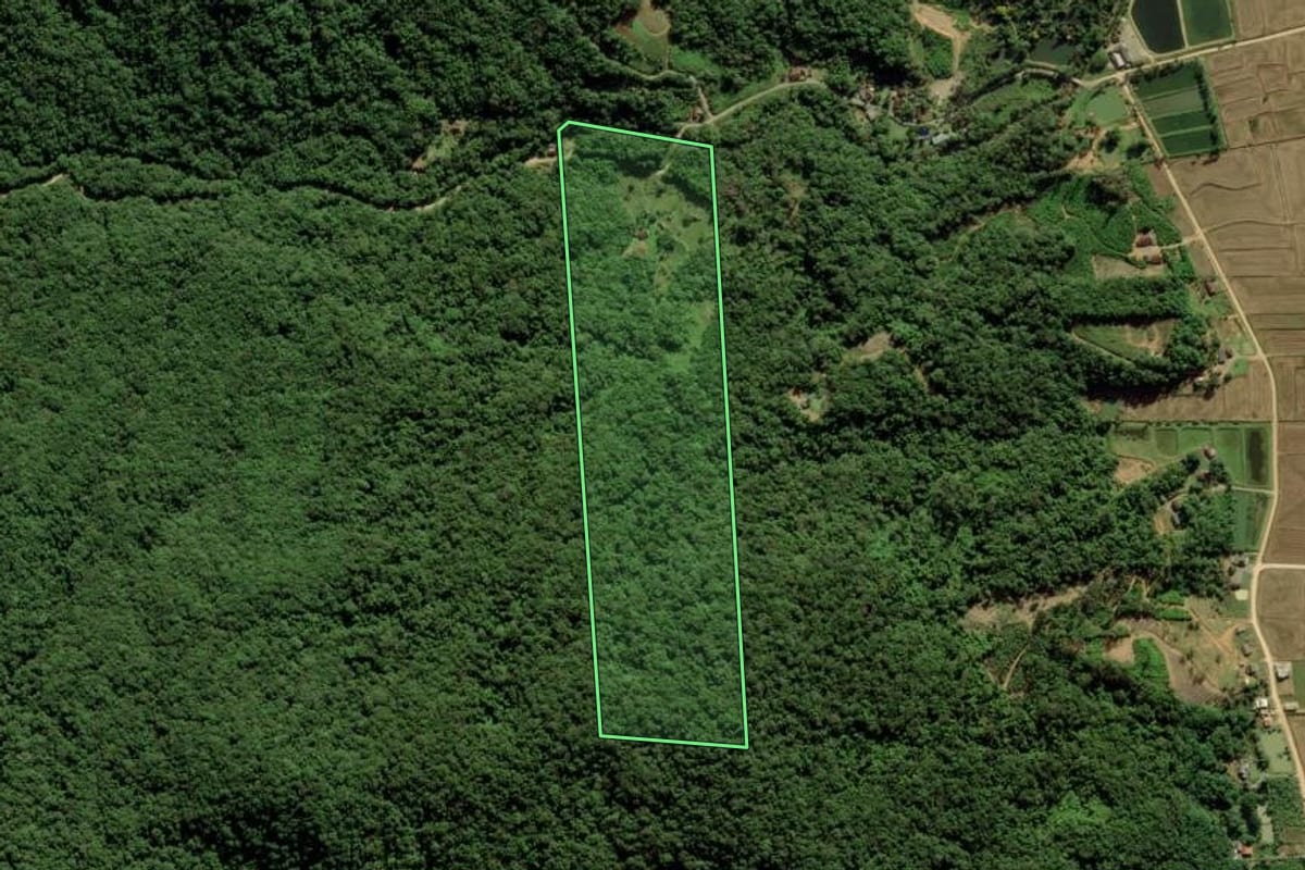 Imagem de satélite do imóvel rural em Massaranduba (SC), com o contorno declarado no CAR desenhado por cima.