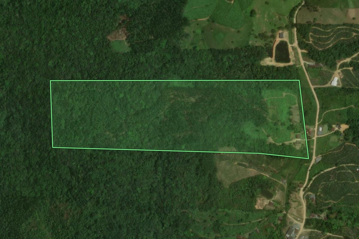 Imagem de satélite do imóvel rural em Massaranduba (SC), com o contorno declarado no CAR desenhado por cima.