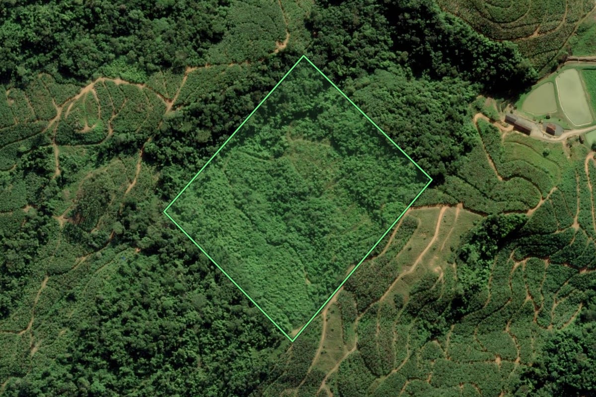 Imagem de satélite do imóvel rural em Massaranduba (SC), com o contorno declarado no CAR desenhado por cima.