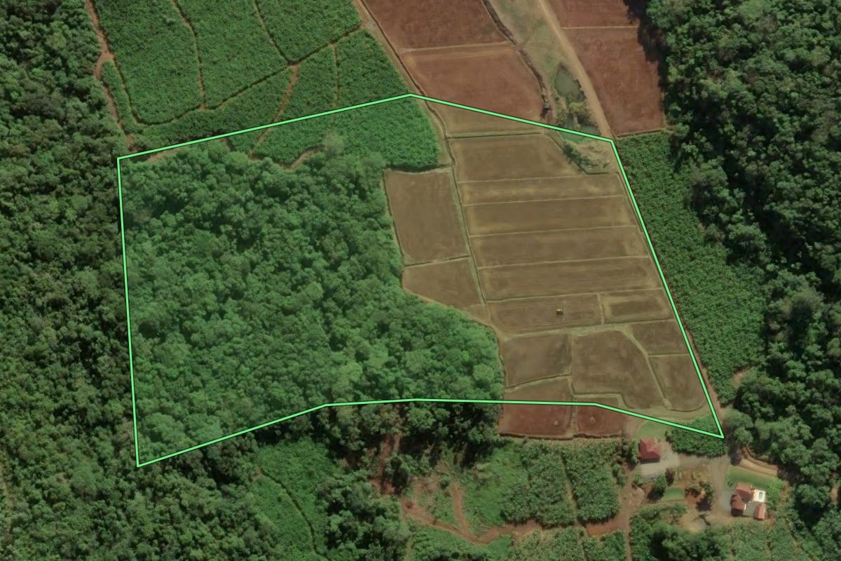 Imagem de satélite do imóvel rural em Massaranduba (SC), com o contorno declarado no CAR desenhado por cima.
