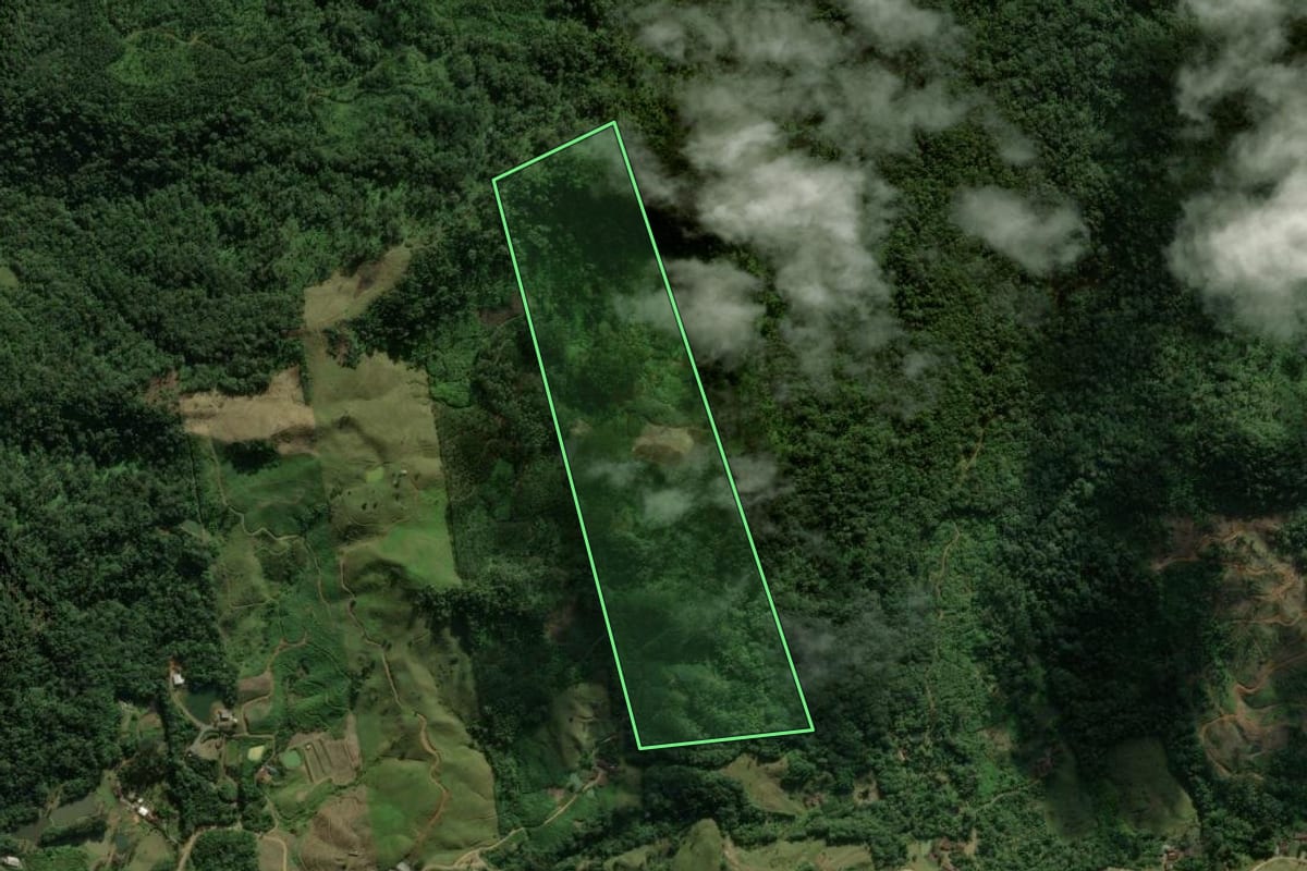 Imagem de satélite do imóvel rural em Massaranduba (SC), com o contorno declarado no CAR desenhado por cima.