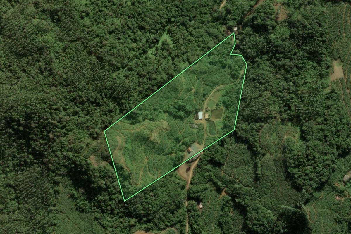 Imagem de satélite do imóvel rural em Massaranduba (SC), com o contorno declarado no CAR desenhado por cima.