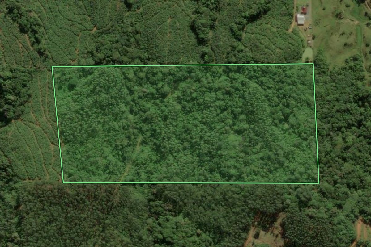 Imagem de satélite do imóvel rural em Massaranduba (SC), com o contorno declarado no CAR desenhado por cima.