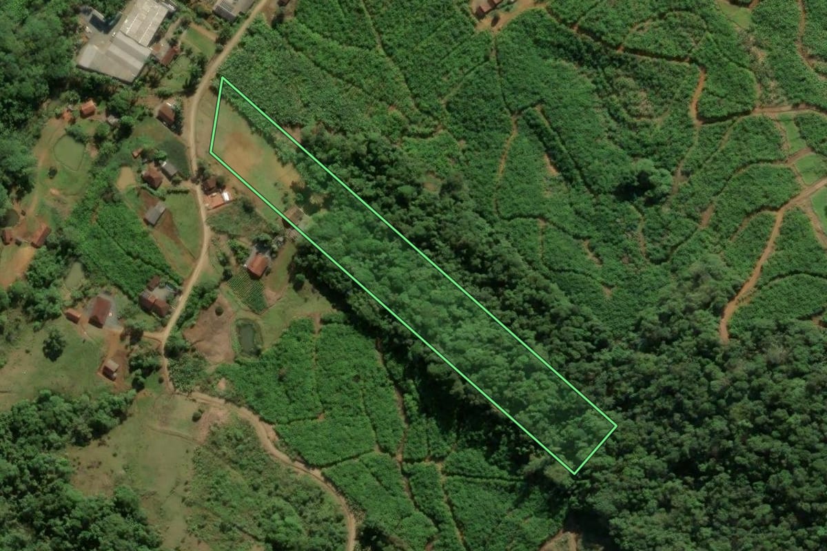 Imagem de satélite do imóvel rural em Massaranduba (SC), com o contorno declarado no CAR desenhado por cima.