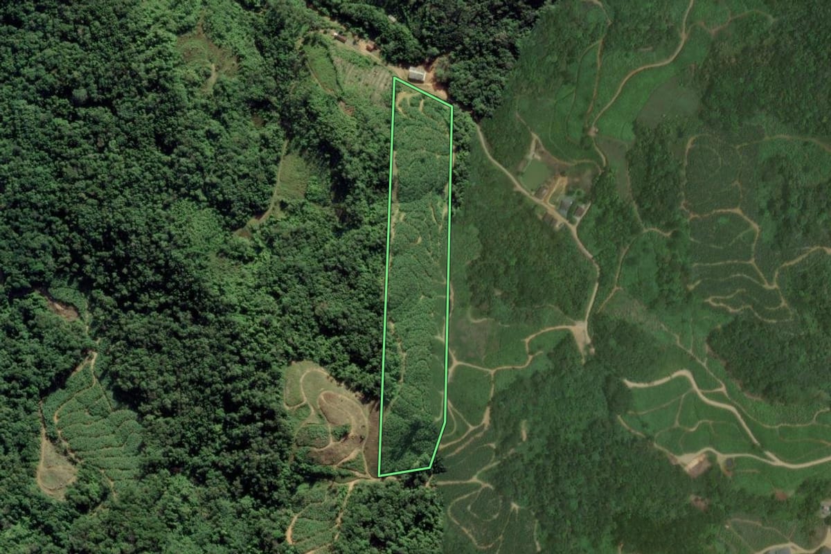 Imagem de satélite do imóvel rural em Massaranduba (SC), com o contorno declarado no CAR desenhado por cima.