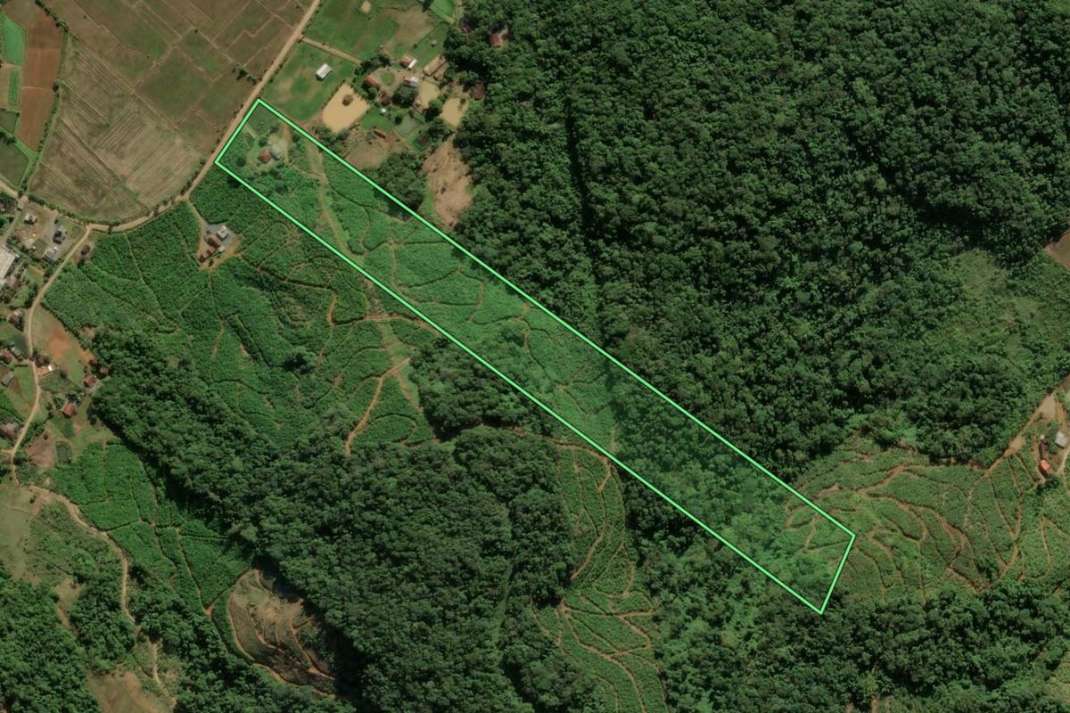 Imagem de satélite do imóvel rural em Massaranduba (SC), com o contorno declarado no CAR desenhado por cima.