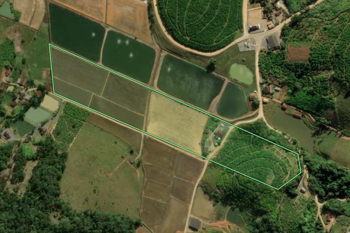 Imagem de satélite do imóvel rural em Massaranduba (SC), com o contorno declarado no CAR desenhado por cima.