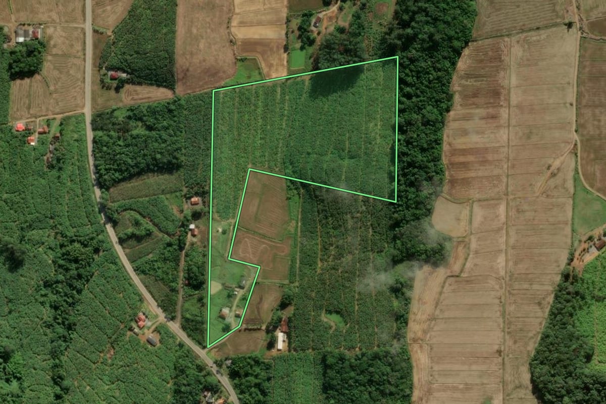 Imagem de satélite do imóvel rural em Massaranduba (SC), com o contorno declarado no CAR desenhado por cima.