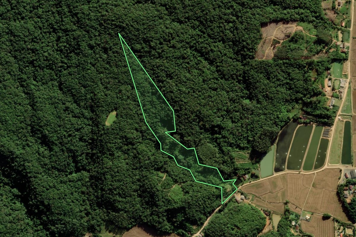 Imagem de satélite do imóvel rural em Massaranduba (SC), com o contorno declarado no CAR desenhado por cima.