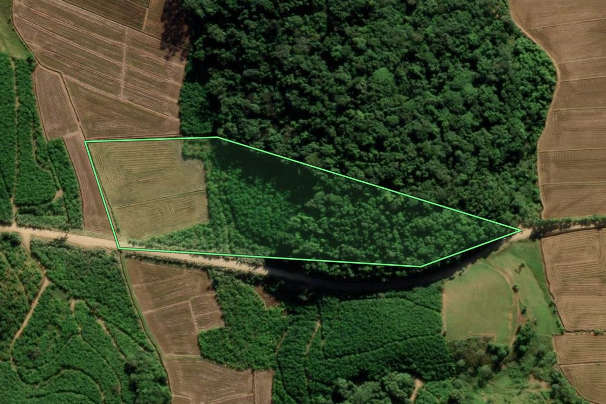 Imagem de satélite do imóvel rural em Massaranduba (SC), com o contorno declarado no CAR desenhado por cima.