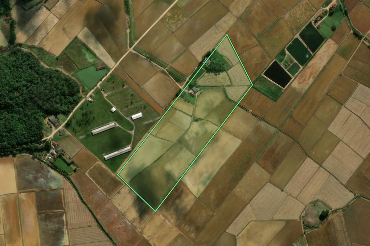 Imagem de satélite do imóvel rural em Massaranduba (SC), com o contorno declarado no CAR desenhado por cima.