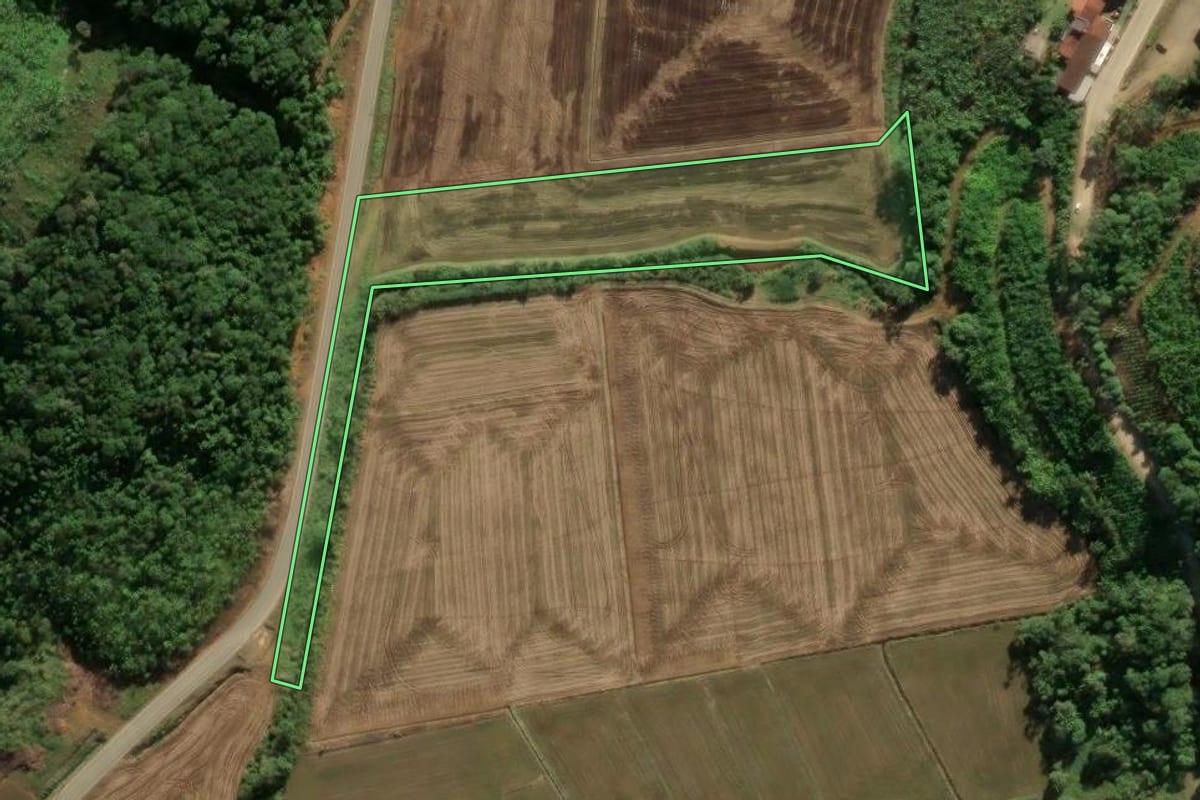 Imagem de satélite do imóvel rural em Massaranduba (SC), com o contorno declarado no CAR desenhado por cima.