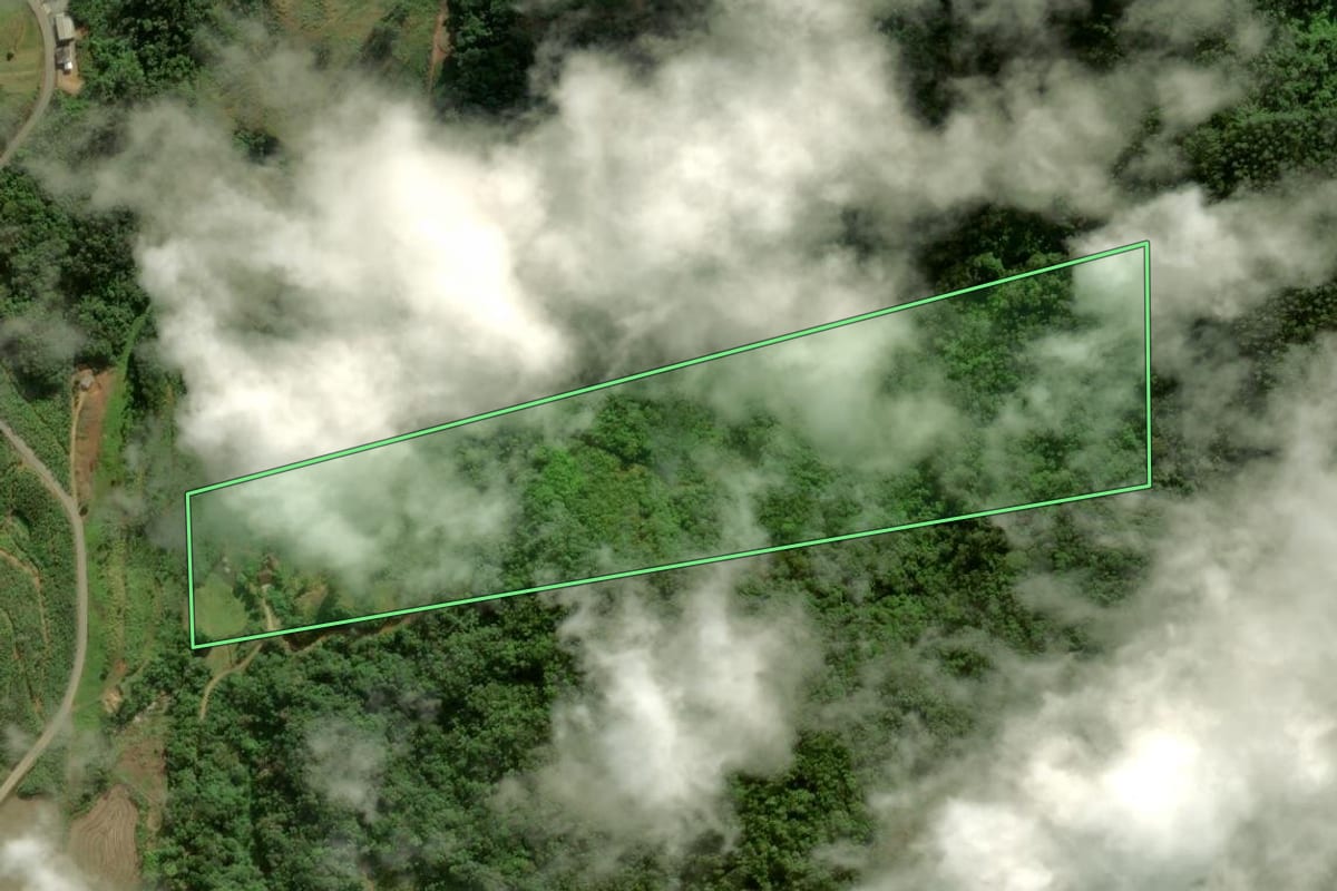 Imagem de satélite do imóvel rural em Massaranduba (SC), com o contorno declarado no CAR desenhado por cima.