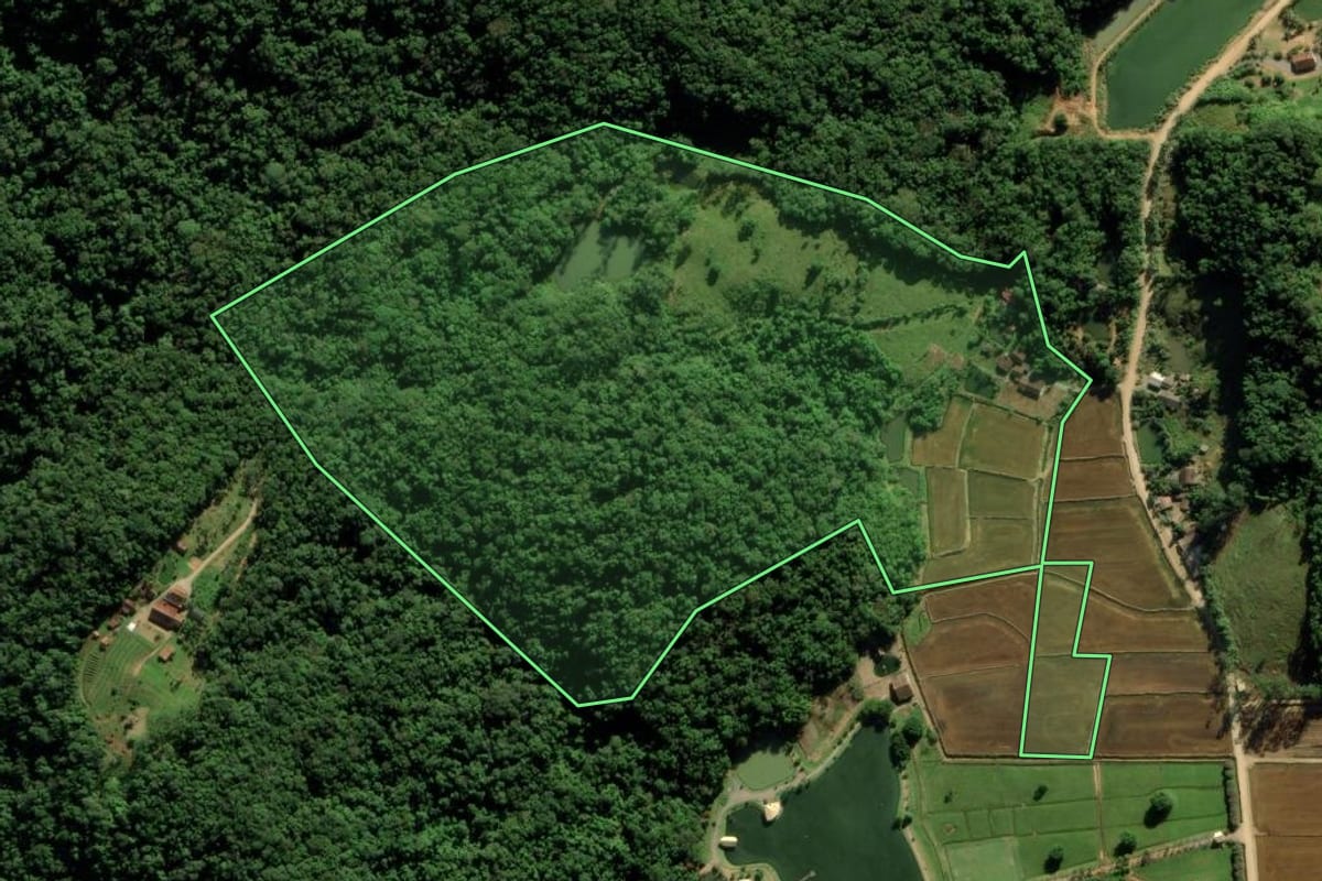 Imagem de satélite do imóvel rural em Massaranduba (SC), com o contorno declarado no CAR desenhado por cima.