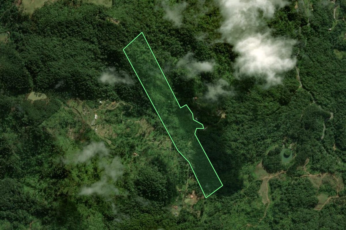 Imagem de satélite do imóvel rural em Massaranduba (SC), com o contorno declarado no CAR desenhado por cima.