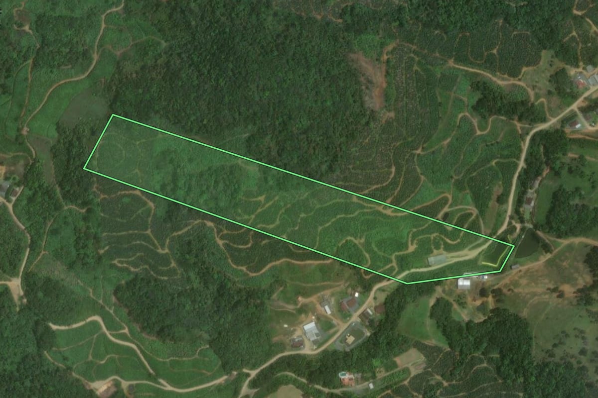 Imagem de satélite do imóvel rural em Massaranduba (SC), com o contorno declarado no CAR desenhado por cima.