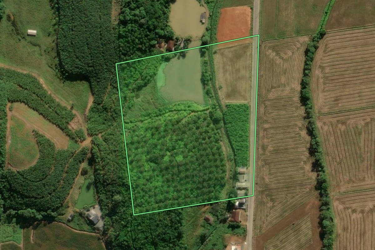 Imagem de satélite do imóvel rural em Massaranduba (SC), com o contorno declarado no CAR desenhado por cima.
