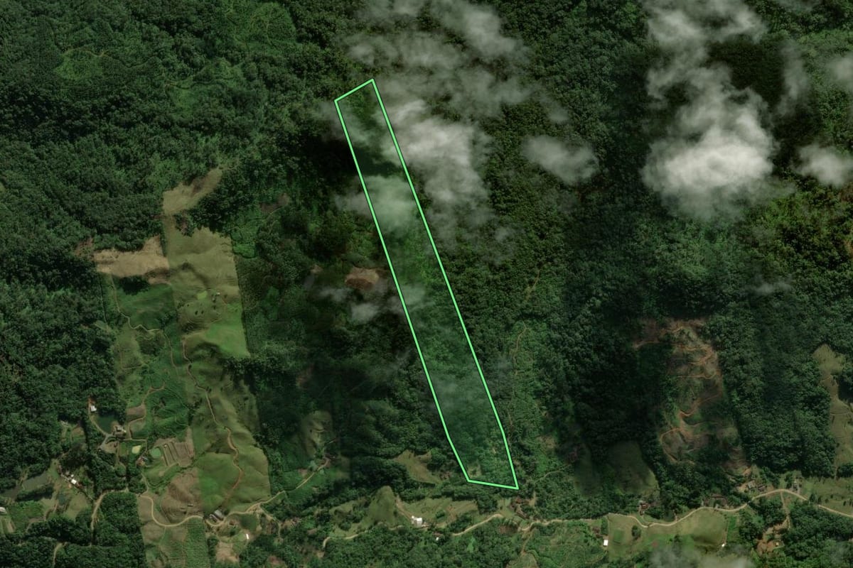 Imagem de satélite do imóvel rural em Massaranduba (SC), com o contorno declarado no CAR desenhado por cima.