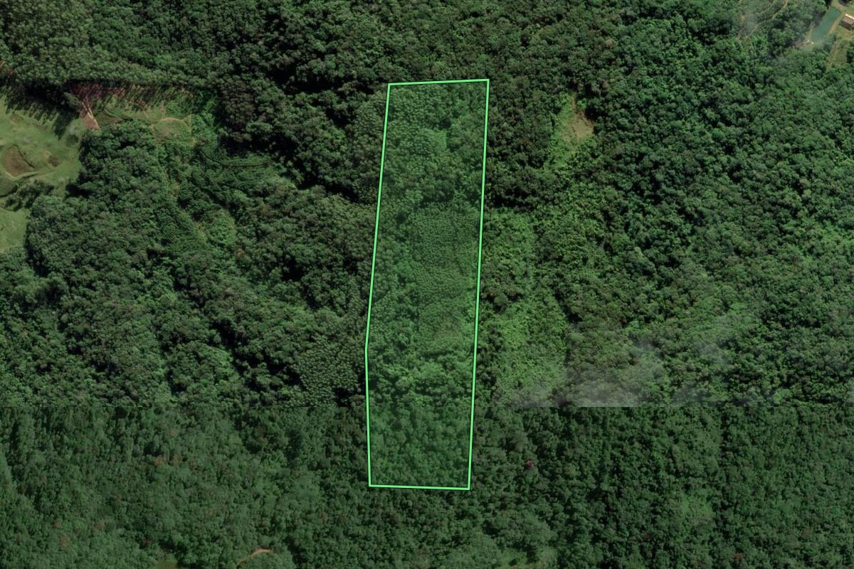Imagem de satélite do imóvel rural em Massaranduba (SC), com o contorno declarado no CAR desenhado por cima.