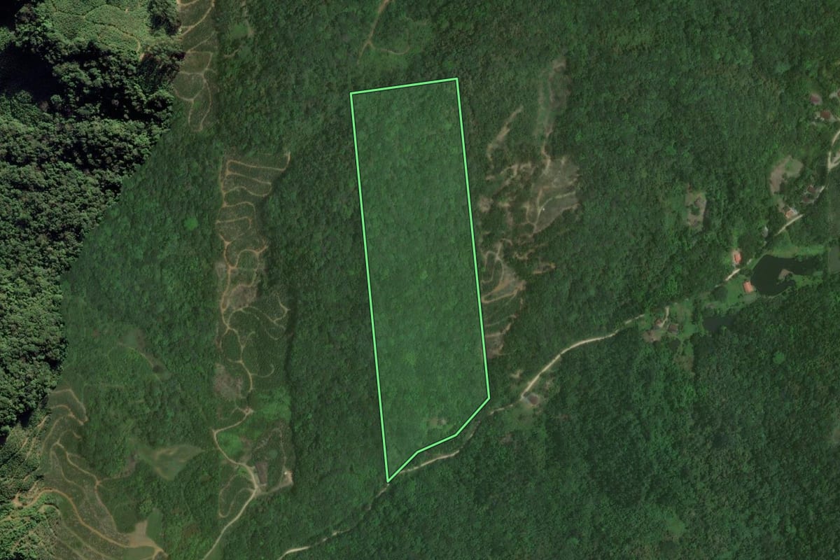 Imagem de satélite do imóvel rural em Massaranduba (SC), com o contorno declarado no CAR desenhado por cima.