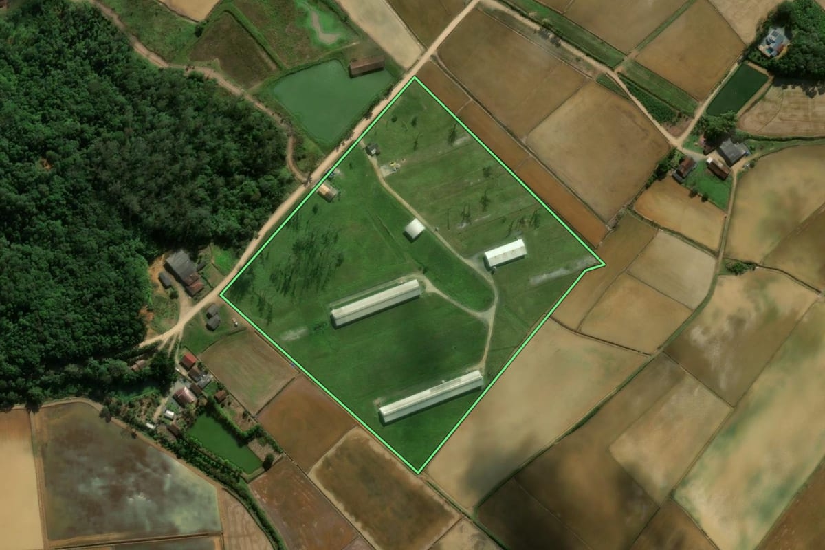 Imagem de satélite do imóvel rural em Massaranduba (SC), com o contorno declarado no CAR desenhado por cima.