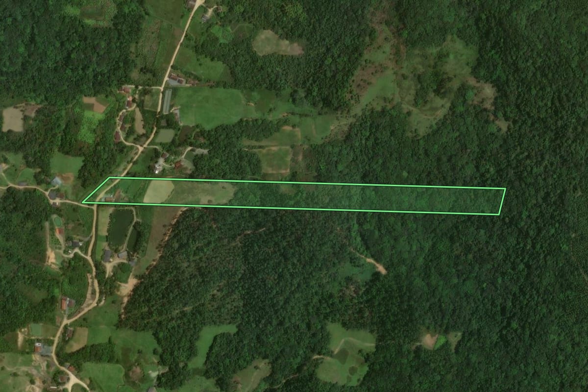 Imagem de satélite do imóvel rural em Massaranduba (SC), com o contorno declarado no CAR desenhado por cima.
