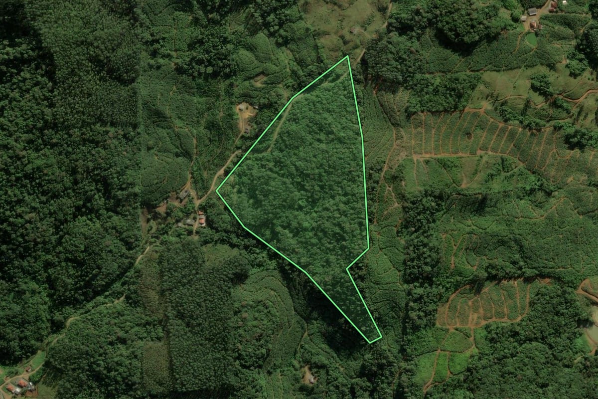 Imagem de satélite do imóvel rural em Massaranduba (SC), com o contorno declarado no CAR desenhado por cima.