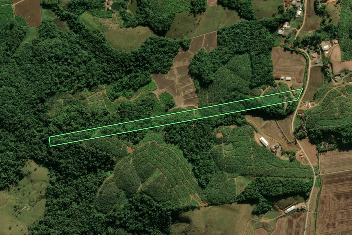 Imagem de satélite do imóvel rural em Massaranduba (SC), com o contorno declarado no CAR desenhado por cima.