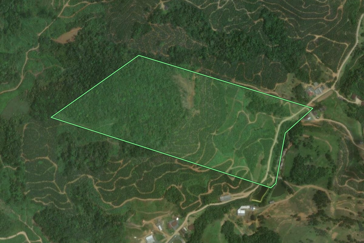 Imagem de satélite do imóvel rural em Massaranduba (SC), com o contorno declarado no CAR desenhado por cima.