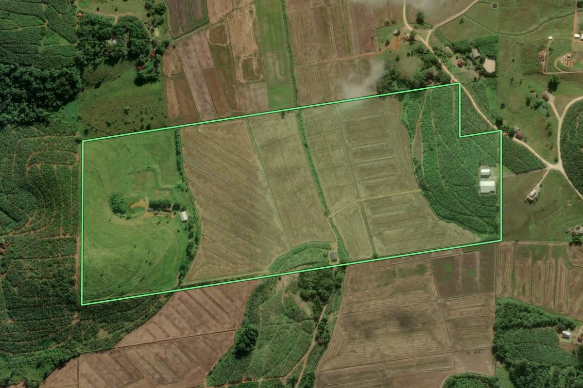 Imagem de satélite do imóvel rural em Massaranduba (SC), com o contorno declarado no CAR desenhado por cima.