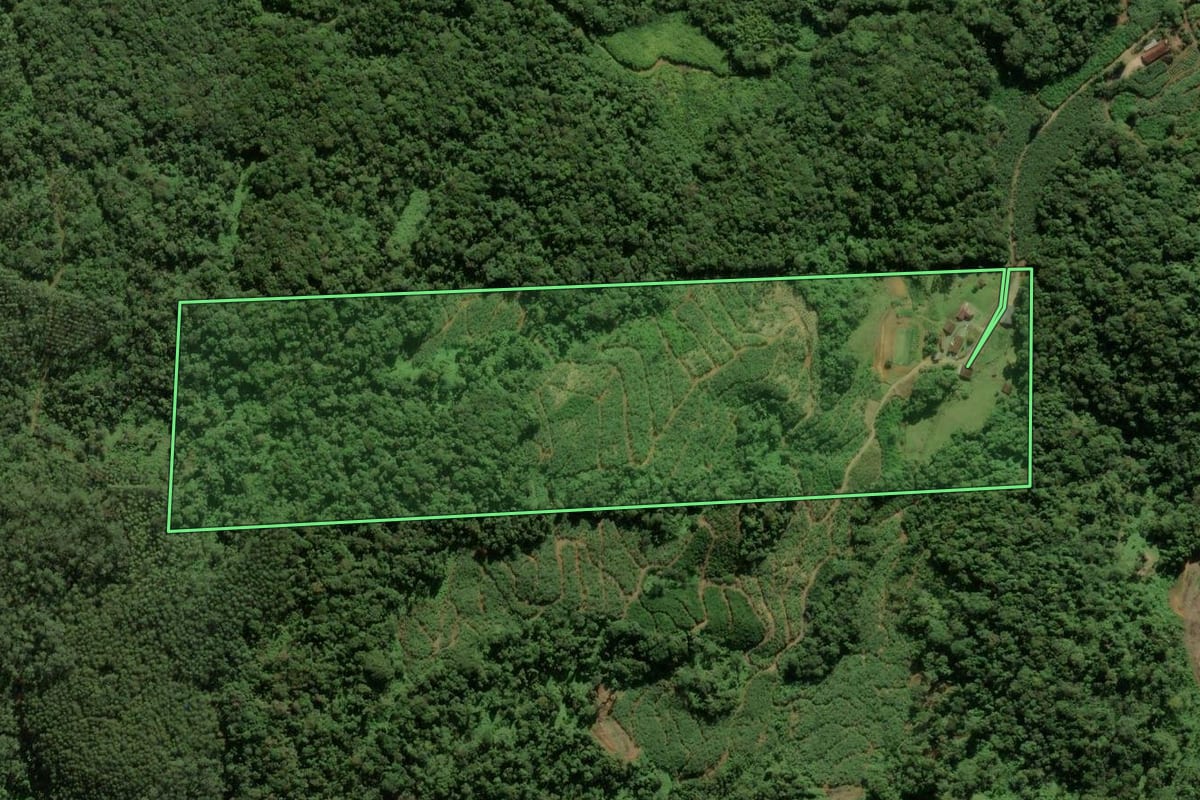 Imagem de satélite do imóvel rural em Massaranduba (SC), com o contorno declarado no CAR desenhado por cima.