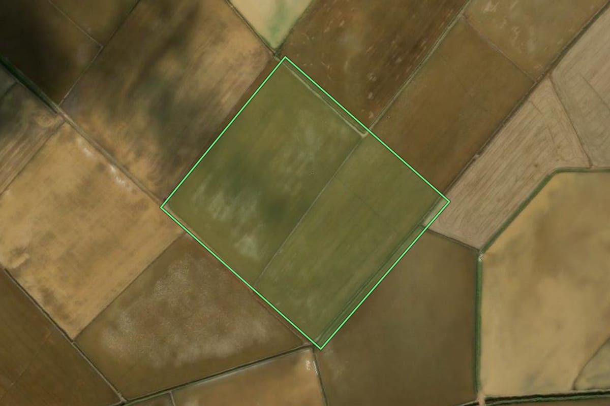 Imagem de satélite do imóvel rural em Massaranduba (SC), com o contorno declarado no CAR desenhado por cima.