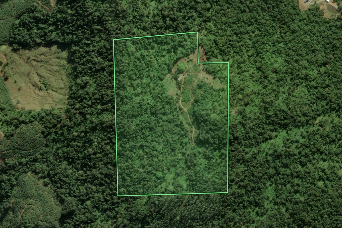 Imagem de satélite do imóvel rural em Massaranduba (SC), com o contorno declarado no CAR desenhado por cima.