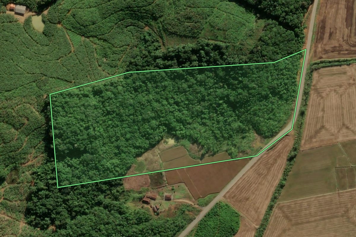 Imagem de satélite do imóvel rural em Massaranduba (SC), com o contorno declarado no CAR desenhado por cima.